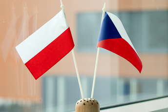 Flagi Polski i Czech na tle budynku wydziału
